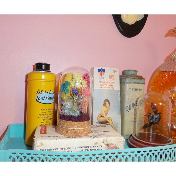 Flower Mantis Crystal & Flowers Oddity Jar insect taxidermy curiosity dome goth - Picture 7 of 13